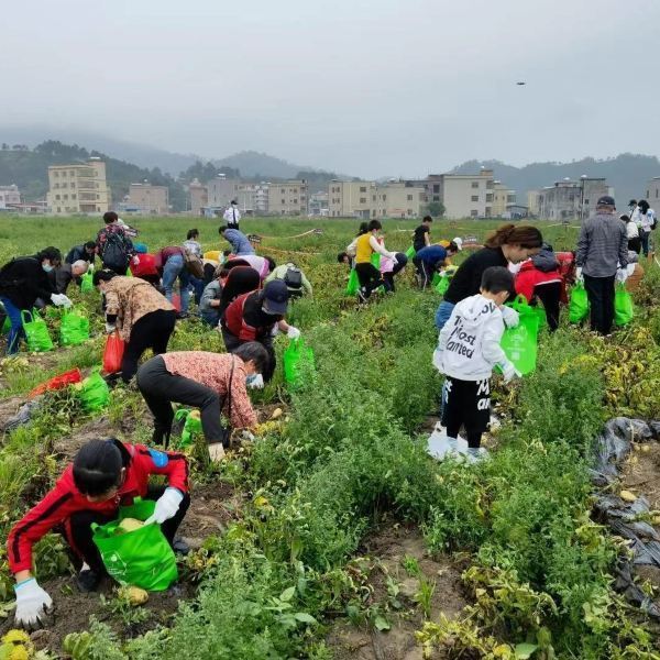 巽寮滨海旅游度假区电话